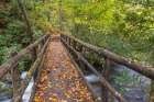 USA, North Carolina, Joyce Kilmer Memorial Forest. Wooden bridge over stream. Art Print